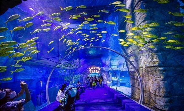 宝丰县南水北调配套水厂获水利部肯定