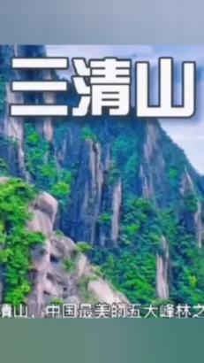 赏金猎人团