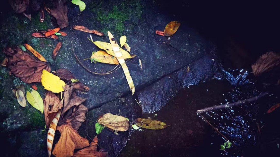 梦幻西游手游
