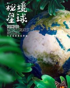 谢妤主演羊皮书密码发布新剧照概海报