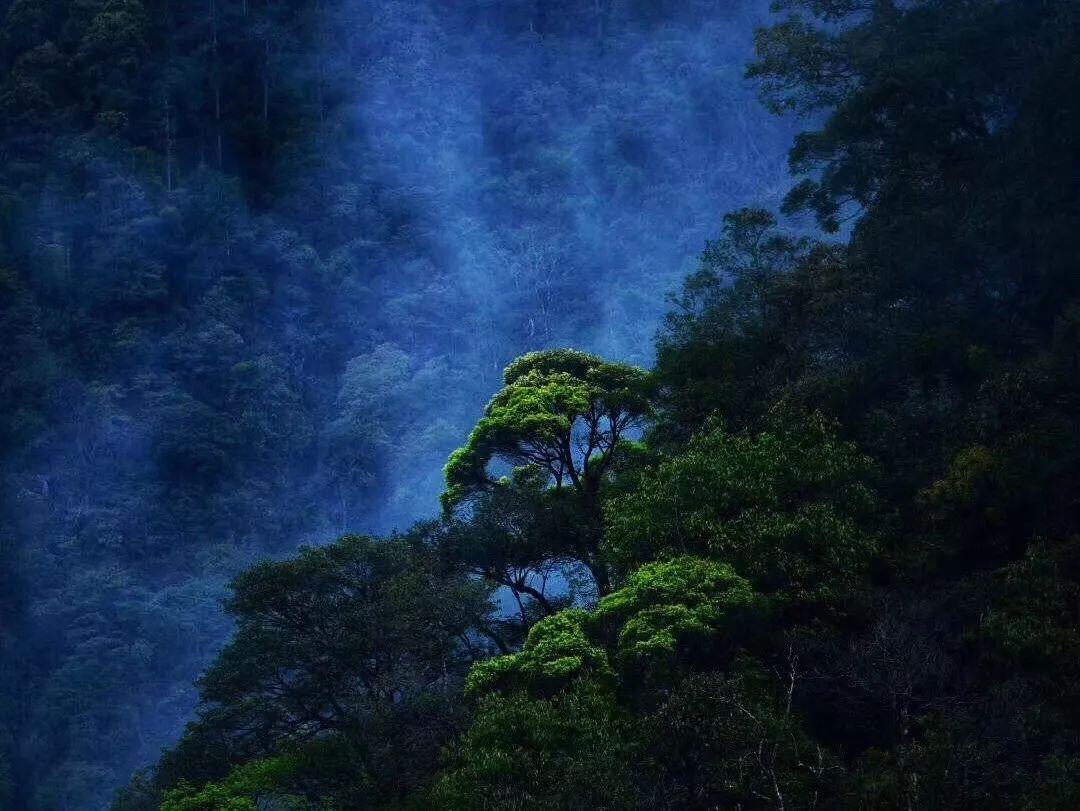 世界杯卡通足球大赛2