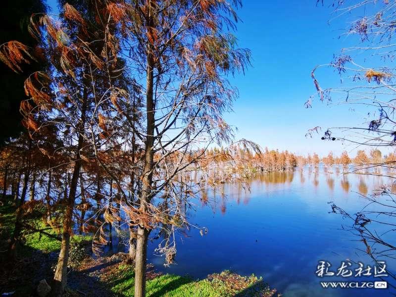《白鹿原》：孝文和小娥偷欢时说的一句话，注定了他后半生的邪恶