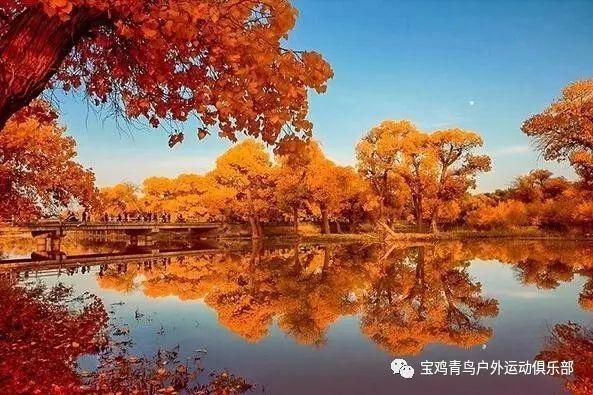 探探猫历险记2