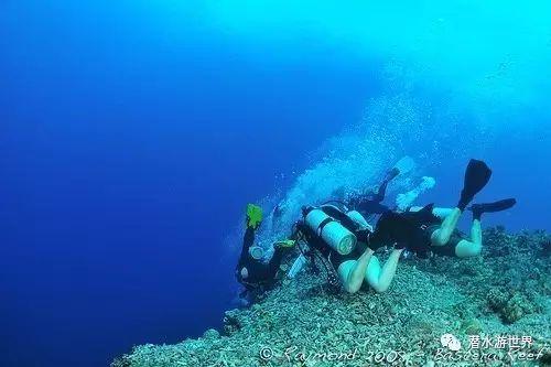 什脸上泛红敏感还长痘痘，请问这种情况是玫瑰痤疮吗？游戏画面