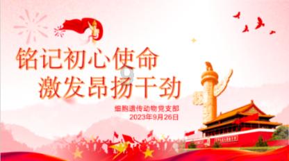 红莲之王
