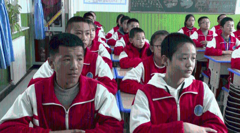 拉夫罗夫:强迫巴勒斯坦人离开加沙地带无论如何都不可接受