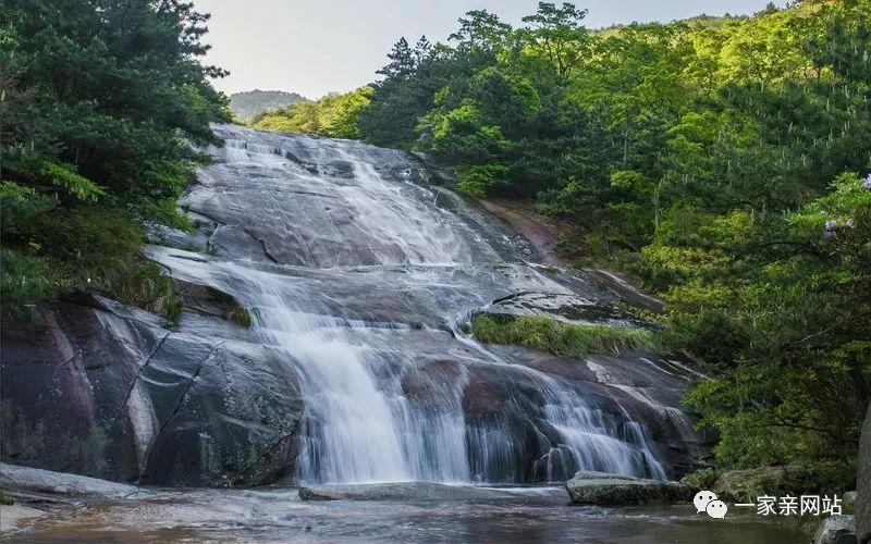 生化危机：浣熊市行动
