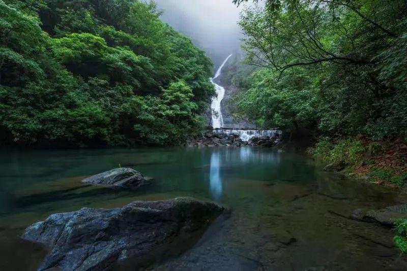 梦幻西游手游