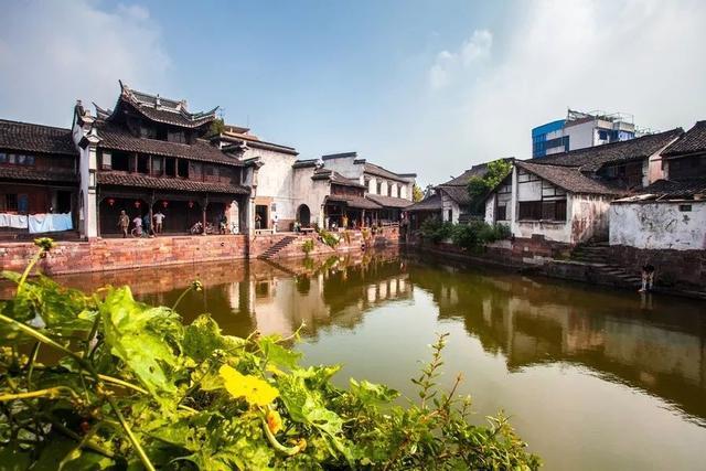 韭菜只能包饺子吗，其它做法不好吃吗？游戏画面