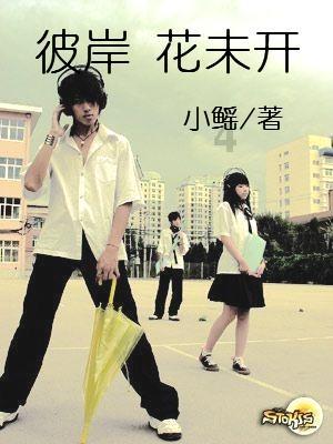 方城县拐河镇：坚持打造文明乡镇 打造文明乡风