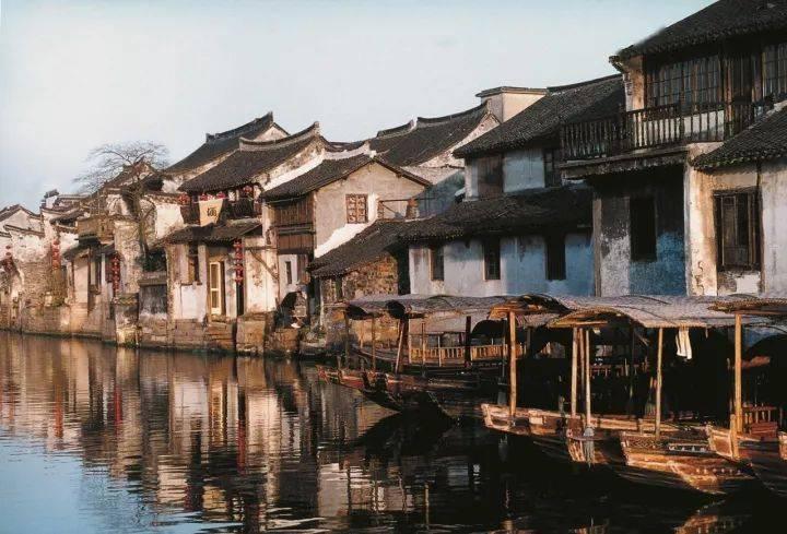 垂丝茉莉能活几年寿命？游戏画面