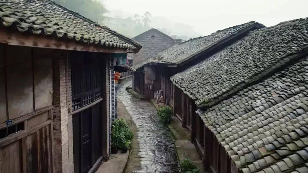 运价飙升时间延长 红海危机或影响欧盟700亿欧元农产品进出口