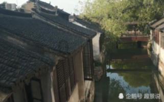 逃离整洁的庭院