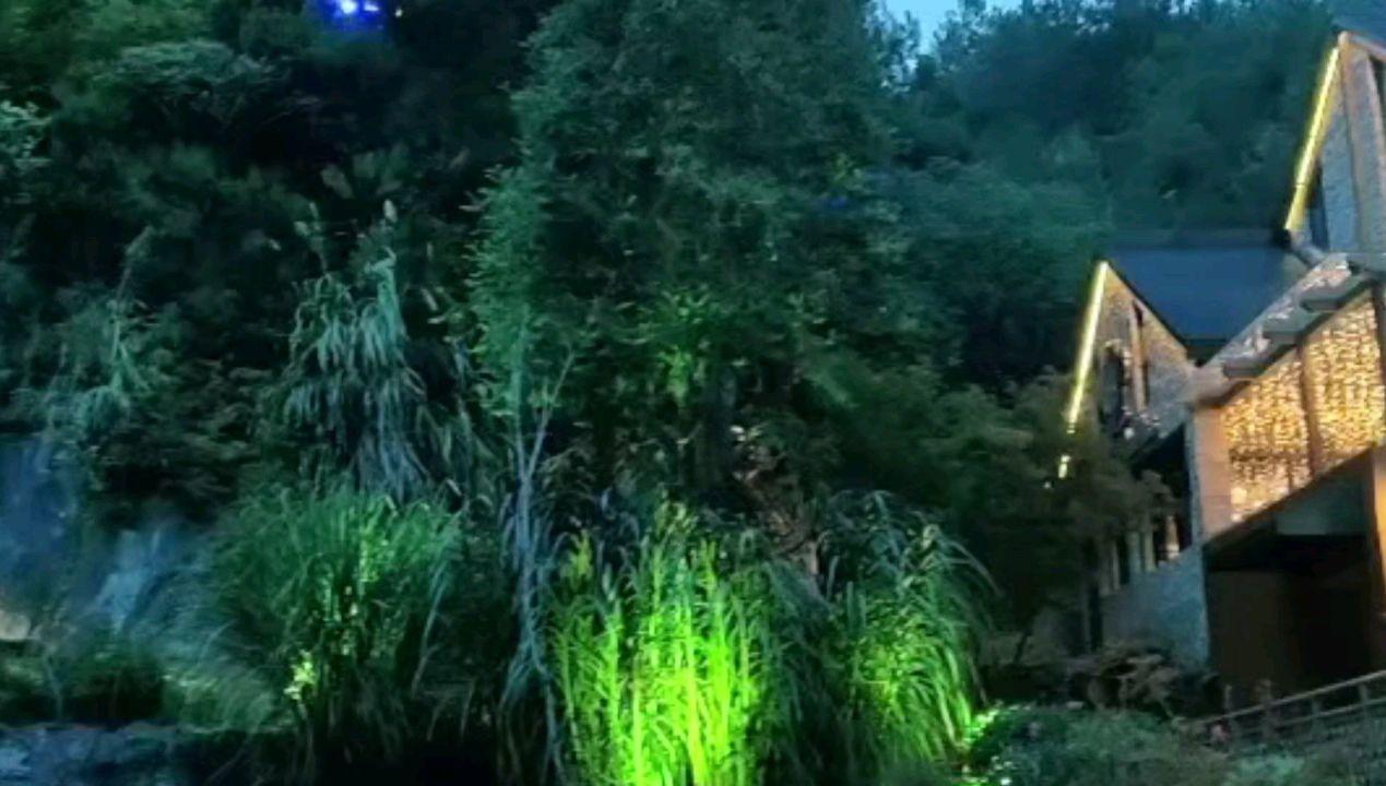 逃离废弃自然公园